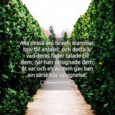 Picture 05 - 1 Mosebok 49:28 SV1917 - Alla dessa äro Israels stammar, tolv till - Bible Verse Picture
