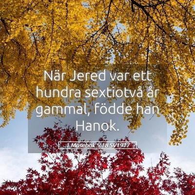 Picture 05 - 1 Mosebok 5:18 SV1917 - När Jered var ett hundra sextiotvå år gammal, - Bible Verse Picture