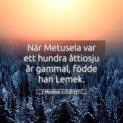 Picture 05 - 1 Mosebok 5:25 SV1917 - När Metusela var ett hundra åttiosju år - Bible Verse Picture