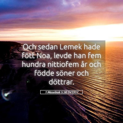 Picture 05 - 1 Mosebok 5:30 SV1917 - Och sedan Lemek hade fött Noa, levde han fem - Bible Verse Picture