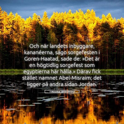 Picture 05 - 1 Mosebok 50:11 SV1917 - Och när landets inbyggare, kananéerna, sågo - Bible Verse Picture
