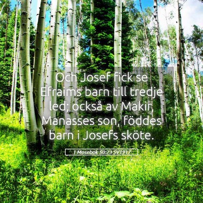 Picture 05 - 1 Mosebok 50:23 SV1917 - Och Josef fick se Efraims barn till tredje led; - Bible Verse Picture
