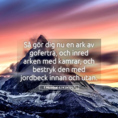 Picture 05 - 1 Mosebok 6:14 SV1917 - Så gör dig nu en ark av goferträ, och inred - Bible Verse Picture