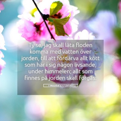 Picture 05 - 1 Mosebok 6:17 SV1917 - Ty se, jag skall låta floden komma med vatten - Bible Verse Picture