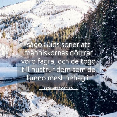 Picture 05 - 1 Mosebok 6:2 SV1917 - sågo Guds söner att människornas döttrar voro - Bible Verse Picture