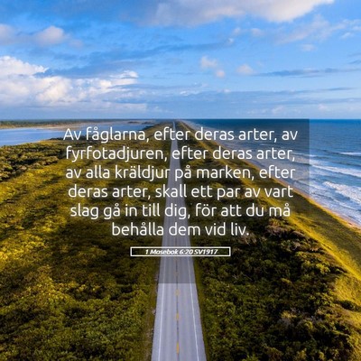 Picture 05 - 1 Mosebok 6:20 SV1917 - Av fåglarna, efter deras arter, av - Bible Verse Picture