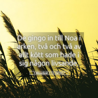 Picture 05 - 1 Mosebok 7:15 SV1917 - De gingo in till Noa i arken, två och två av - Bible Verse Picture