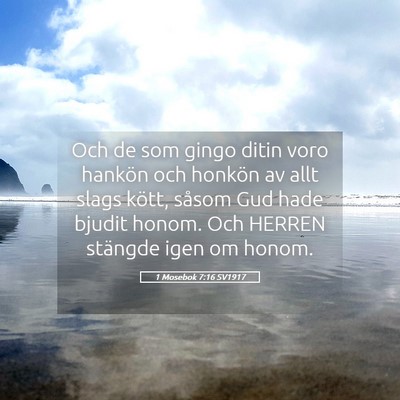 Picture 05 - 1 Mosebok 7:16 SV1917 - Och de som gingo ditin voro hankön och honkön - Bible Verse Picture