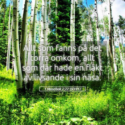 Picture 05 - 1 Mosebok 7:22 SV1917 - Allt som fanns på det torra omkom, allt som där - Bible Verse Picture