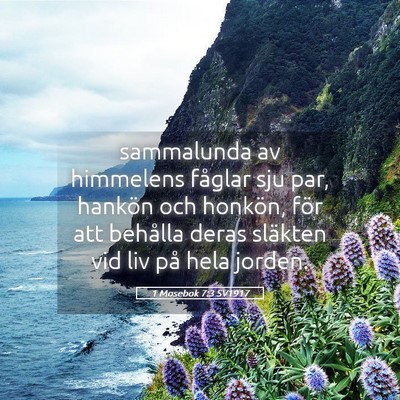 Picture 05 - 1 Mosebok 7:3 SV1917 - sammalunda av himmelens fåglar sju par, hankön - Bible Verse Picture