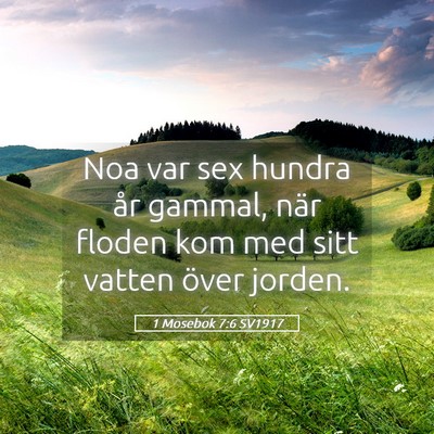 Picture 05 - 1 Mosebok 7:6 SV1917 - Noa var sex hundra år gammal, när floden kom - Bible Verse Picture