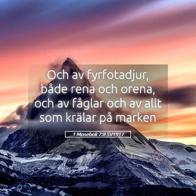 Picture 05 - 1 Mosebok 7:8 SV1917 - Och av fyrfotadjur, både rena och orena, och av - Bible Verse Picture