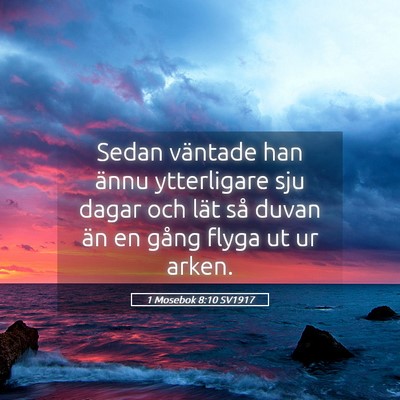 Picture 05 - 1 Mosebok 8:10 SV1917 - Sedan väntade han ännu ytterligare sju dagar - Bible Verse Picture