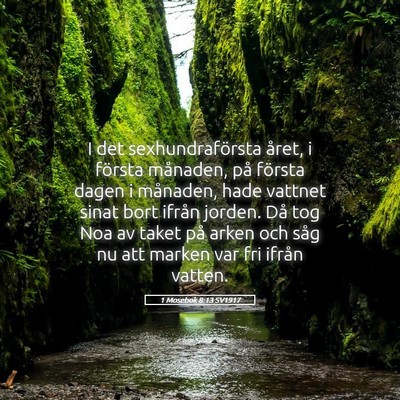 Picture 05 - 1 Mosebok 8:13 SV1917 - I det sexhundraförsta året, i första månaden, - Bible Verse Picture