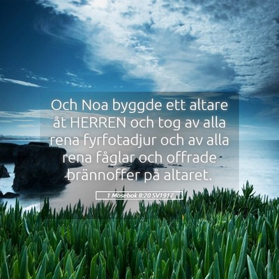 Picture 05 - 1 Mosebok 8:20 SV1917 - Och Noa byggde ett altare åt HERREN och tog av - Bible Verse Picture