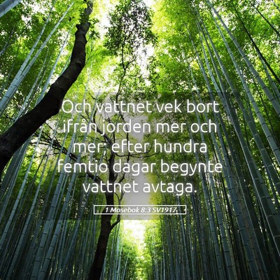 Picture 05 - 1 Mosebok 8:3 SV1917 - Och vattnet vek bort ifrån jorden mer och mer; - Bible Verse Picture