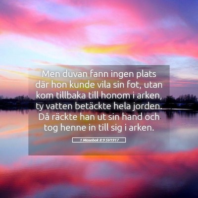 Picture 05 - 1 Mosebok 8:9 SV1917 - Men duvan fann ingen plats där hon kunde vila - Bible Verse Picture