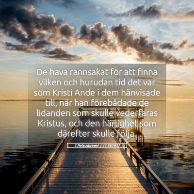 Picture 05 - 1 Petrusbrevet 1:11 SV1917 - De hava rannsakat för att finna vilken och - Bible Verse Picture