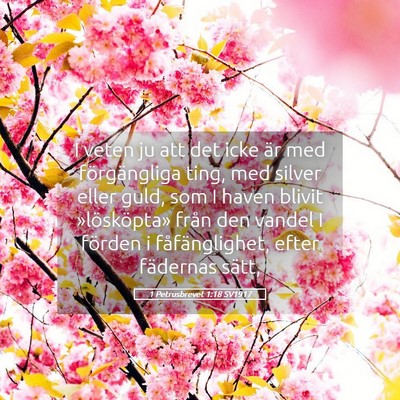 Picture 05 - 1 Petrusbrevet 1:18 SV1917 - I veten ju att det icke är med förgängliga - Bible Verse Picture
