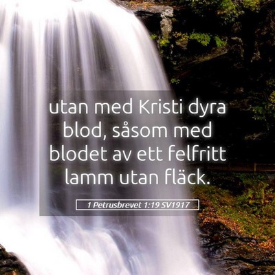 Picture 05 - 1 Petrusbrevet 1:19 SV1917 - utan med Kristi dyra blod, såsom med blodet av - Bible Verse Picture