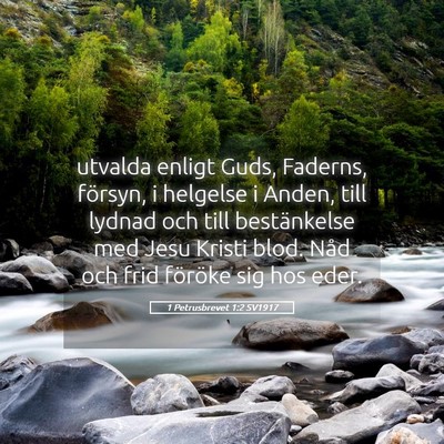 Picture 05 - 1 Petrusbrevet 1:2 SV1917 - utvalda enligt Guds, Faderns, försyn, i helgelse - Bible Verse Picture