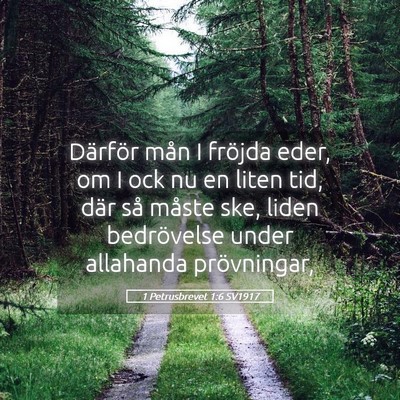 Picture 05 - 1 Petrusbrevet 1:6 SV1917 - Därför mån I fröjda eder, om I ock nu en - Bible Verse Picture