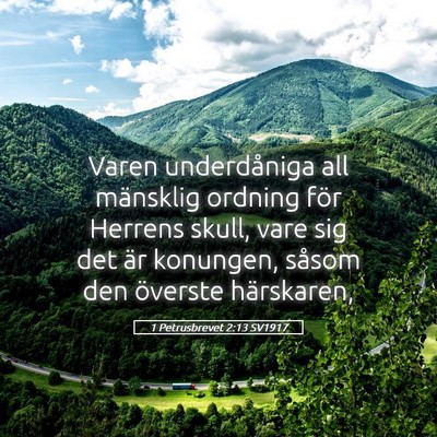 Picture 05 - 1 Petrusbrevet 2:13 SV1917 - Varen underdåniga all mänsklig ordning för - Bible Verse Picture