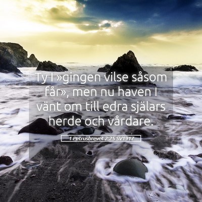 Picture 05 - 1 Petrusbrevet 2:25 SV1917 - Ty I »gingen vilse såsom får», men nu haven I - Bible Verse Picture