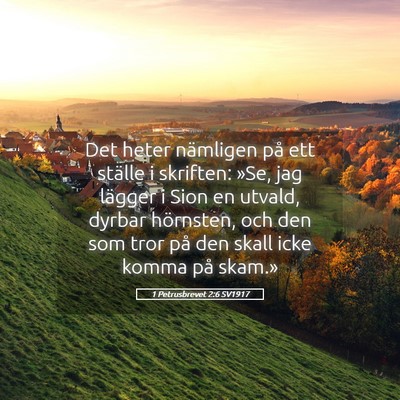 Picture 05 - 1 Petrusbrevet 2:6 SV1917 - Det heter nämligen på ett ställe i skriften: - Bible Verse Picture