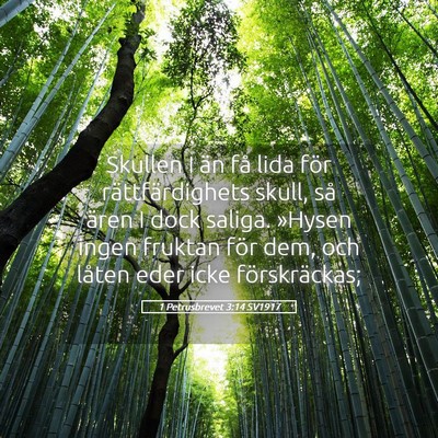 Picture 05 - 1 Petrusbrevet 3:14 SV1917 - Skullen I än få lida för rättfärdighets - Bible Verse Picture