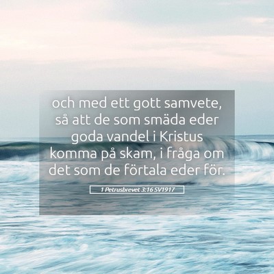 Picture 05 - 1 Petrusbrevet 3:16 SV1917 - och med ett gott samvete, så att de som smäda - Bible Verse Picture
