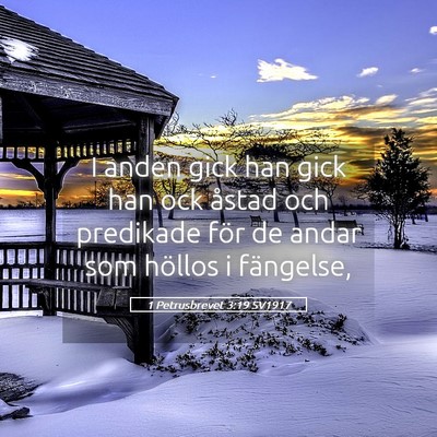 Picture 05 - 1 Petrusbrevet 3:19 SV1917 - I anden gick han gick han ock åstad och - Bible Verse Picture