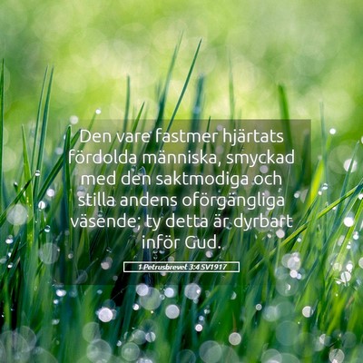 Picture 05 - 1 Petrusbrevet 3:4 SV1917 - Den vare fastmer hjärtats fördolda människa, - Bible Verse Picture