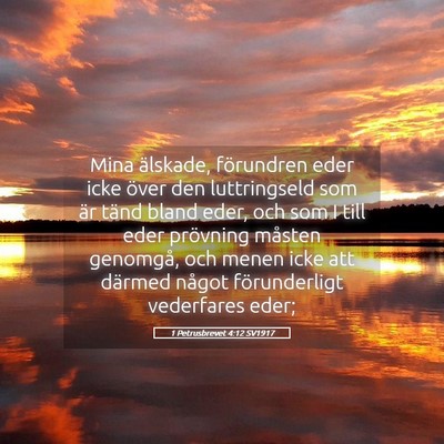Picture 05 - 1 Petrusbrevet 4:12 SV1917 - Mina älskade, förundren eder icke över den - Bible Verse Picture