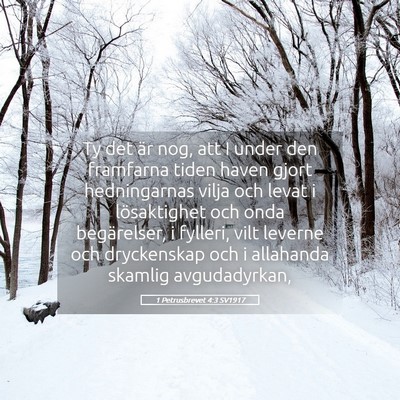 Picture 05 - 1 Petrusbrevet 4:3 SV1917 - Ty det är nog, att I under den framfarna tiden - Bible Verse Picture