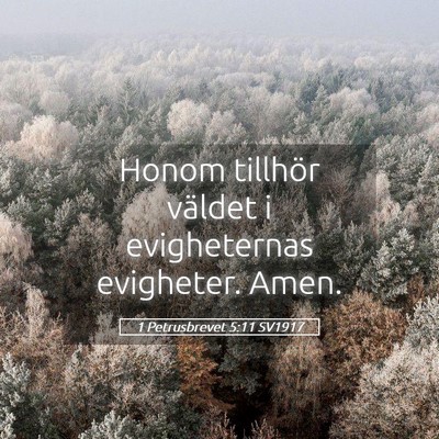 Picture 05 - 1 Petrusbrevet 5:11 SV1917 - Honom tillhör väldet i evigheternas evigheter. - Bible Verse Picture