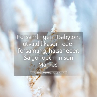 Picture 05 - 1 Petrusbrevet 5:13 SV1917 - Församlingen i Babylon, utvald likasom eder - Bible Verse Picture