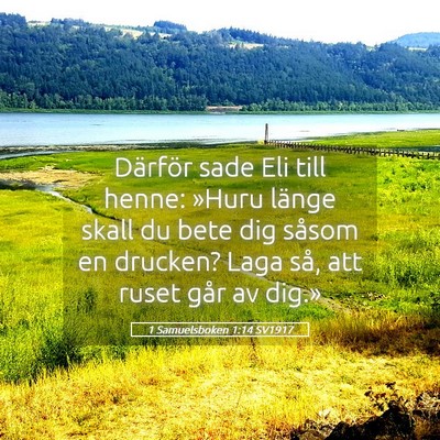 Picture 05 - 1 Samuelsboken 1:14 SV1917 - Därför sade Eli till henne: »Huru länge skall - Bible Verse Picture