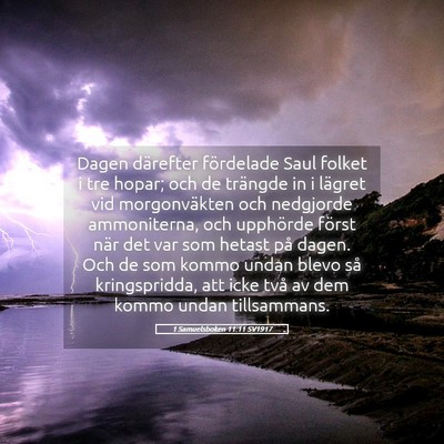 Picture 05 - 1 Samuelsboken 11:11 SV1917 - Dagen därefter fördelade Saul folket i tre - Bible Verse Picture