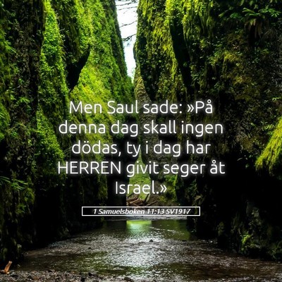 Picture 05 - 1 Samuelsboken 11:13 SV1917 - Men Saul sade: »På denna dag skall ingen - Bible Verse Picture
