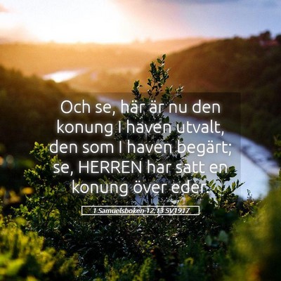 Picture 05 - 1 Samuelsboken 12:13 SV1917 - Och se, här är nu den konung I haven utvalt, - Bible Verse Picture