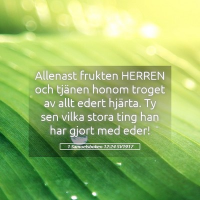 Picture 05 - 1 Samuelsboken 12:24 SV1917 - Allenast frukten HERREN och tjänen honom troget - Bible Verse Picture