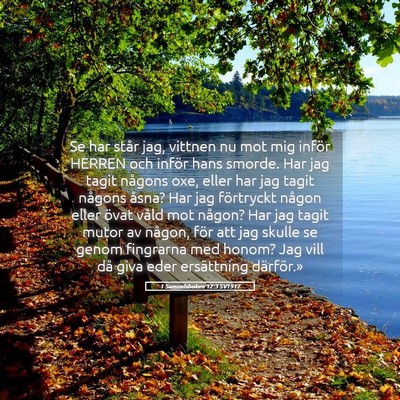Picture 05 - 1 Samuelsboken 12:3 SV1917 - Se har står jag, vittnen nu mot mig inför - Bible Verse Picture