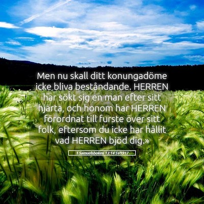 Picture 05 - 1 Samuelsboken 13:14 SV1917 - Men nu skall ditt konungadöme icke bliva - Bible Verse Picture