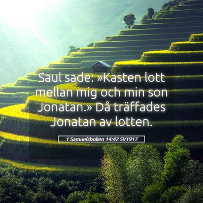 Picture 05 - 1 Samuelsboken 14:42 SV1917 - Saul sade: »Kasten lott mellan mig och min son - Bible Verse Picture