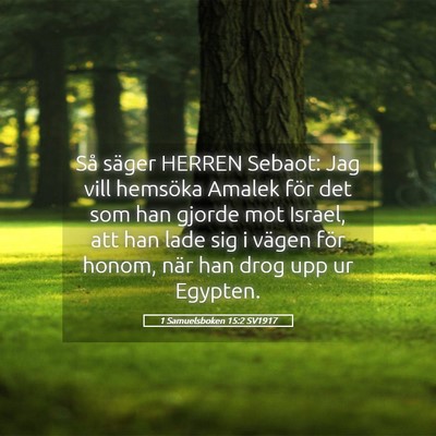 Picture 05 - 1 Samuelsboken 15:2 SV1917 - Så säger HERREN Sebaot: Jag vill hemsöka - Bible Verse Picture