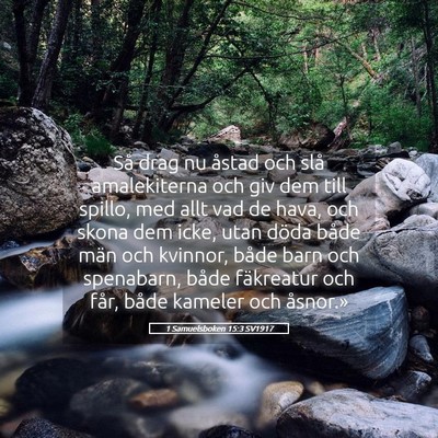 Picture 05 - 1 Samuelsboken 15:3 SV1917 - Så drag nu åstad och slå amalekiterna och giv - Bible Verse Picture