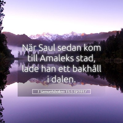 Picture 05 - 1 Samuelsboken 15:5 SV1917 - När Saul sedan kom till Amaleks stad, lade han - Bible Verse Picture