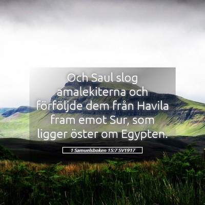 Picture 05 - 1 Samuelsboken 15:7 SV1917 - Och Saul slog amalekiterna och förföljde dem - Bible Verse Picture