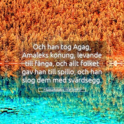 Picture 05 - 1 Samuelsboken 15:8 SV1917 - Och han tog Agag, Amaleks konung, levande till - Bible Verse Picture